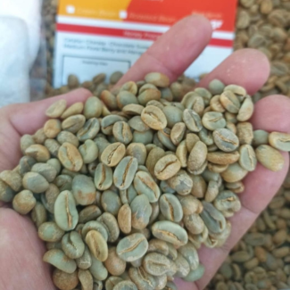 Arabica Greenbean